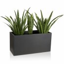 Plant Trough VISIO 50 Plastic charcoal-grey matt