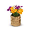 Set of 3 Flower Pots RENDONDO Water Hyacinth