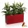 Plant Trough VISIO 40 Plastic red matt