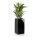 Planter TORRE 60 Fibreglass black glossy