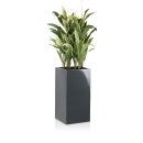 Planter TORRE 60 Fiberglass grey glossy