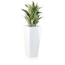 Planter LAVIA 90 Fibreglass white glossy