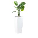 Planter LAVIA 90 Fibreglass white glossy