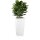 Planter LAVIA 70 Fibreglass white matt