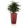Planter LAVIA 70 Fibreglass red matt