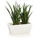 Plant Trough ARTESA 33 Plastic white matt
