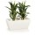 Plant Trough ARTESA 33 Plastic white matt
