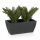 Plant Trough ARTESA 33 Plastic charcoal grey matt