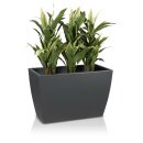 Plant Trough ARTESA 50 Plastic charcoal grey matt