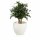 Plant Pot TARRO 50 Planter white matt