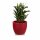 Plant Pot TARRO 43 Plastic red matt