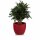Plant Pot TARRO 43 Plastic red matt