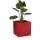 Plant Pot CUBO 30 Plastic red matt