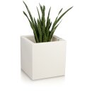Plant Pot CUBO 60 Plastic white matt