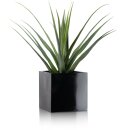 Planter CUBO 30 Fibreglass black glossy