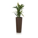 Plant Pot CONO 68 Plastic bronze matt