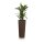 Plant Pot CONO 68 Plastic bronze matt