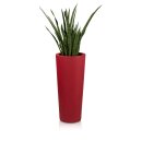 Plant Pot CONO 90 Plastic red matt