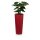 Plant Pot CONO 90 Plastic red matt