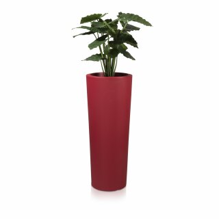 Plant Pot CONO 110 Plastic red matt