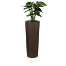 Plant Pot CONO 110 Plastic bronze matt
