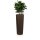 Plant Pot CONO 110 Plastic bronze matt