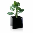 Plant Pot CUBO 50 Fibreglass black glossy