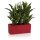 Plant Trough MURO 25 Plastic red matt