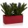 Plant Trough MURO 25 Plastic red matt