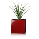 Planter CUBO 50 Fibreglass red glossy