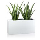 Plant Trough VISIO 50 Fibreglass white glossy