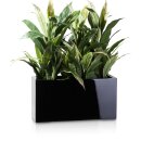 Plant Trough VISIO 30 Fibreglass black glossy