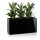 Plant trough VISIO 50 Fibreglass black glossy