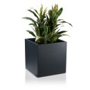 Plant Pot CUBO 50 Fibreglass charcoal-grey matt