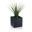 Plant Pot CUBO 40 Fibreglass charcoal-grey matt