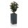 Flower Pot TORRE 60 Fibreglass charcoal-grey matt