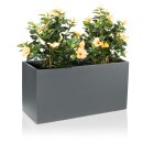 Plant Trough VISIO 50 Fiberglass grey matt