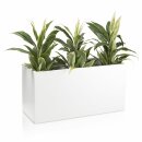 Plant Trough VISIO 50 Fibreglass white matt
