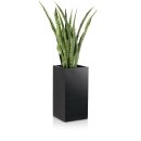 Planter TORRE 60 Fibreglass black matt